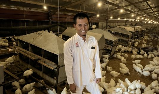 WMUU, saham, PT Widodo Makmur Unggas, Sf Sekuritas