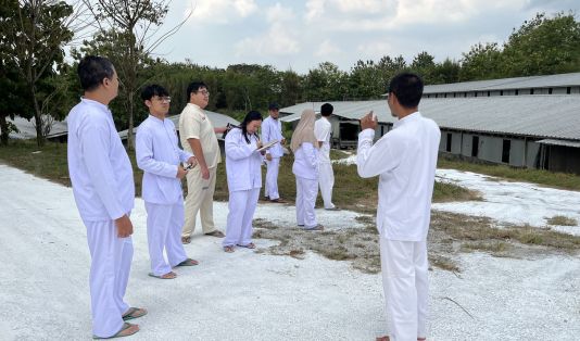 WMUU, saham, PT Widodo Makmur Unggas, Sf Sekuritas